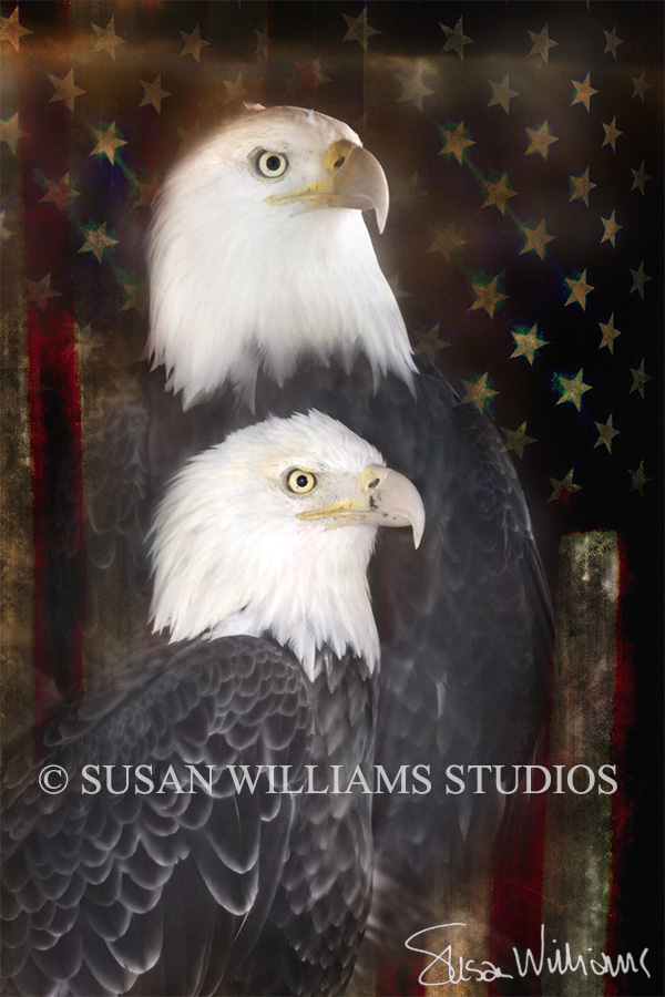 eagles_flag